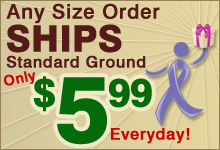5.99 Standard Shipping Everyday