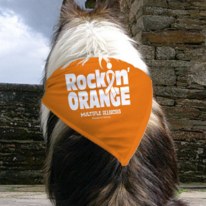 Rockin Orange Pet Bandana